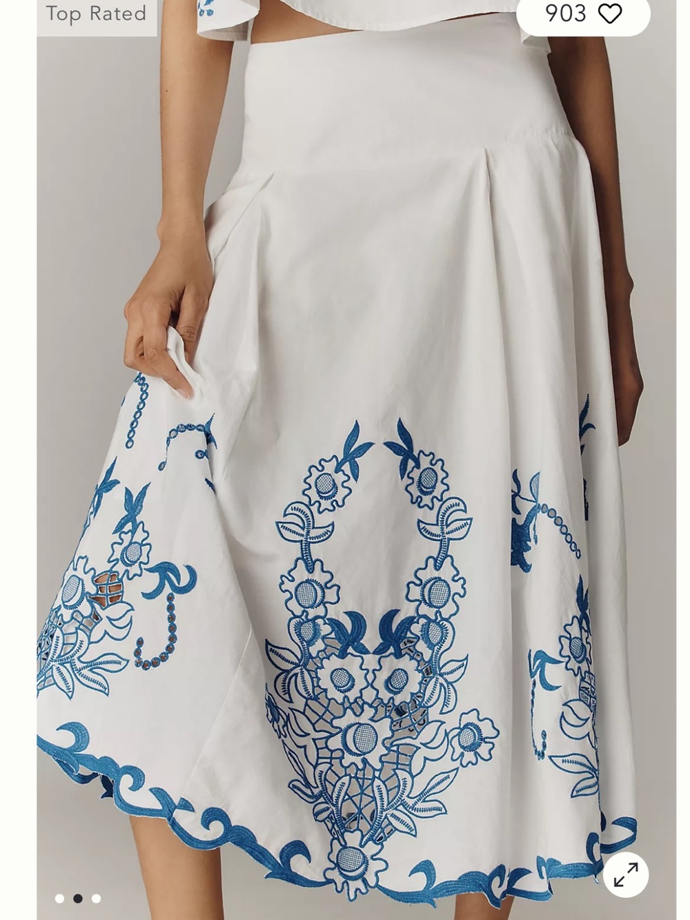 Anthropologie Embroidered Skirt